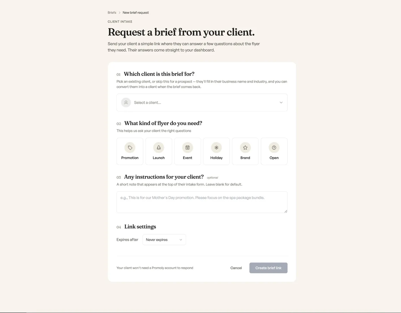 Promoly client brief intake page